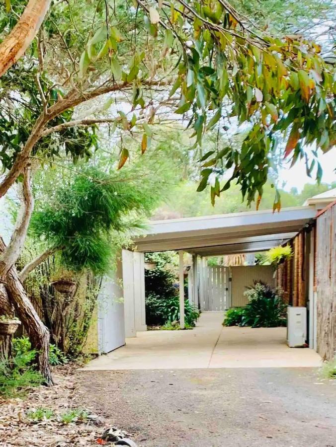Marengo Beach Studios- Pet Friendly المظهر الخارجي الصورة