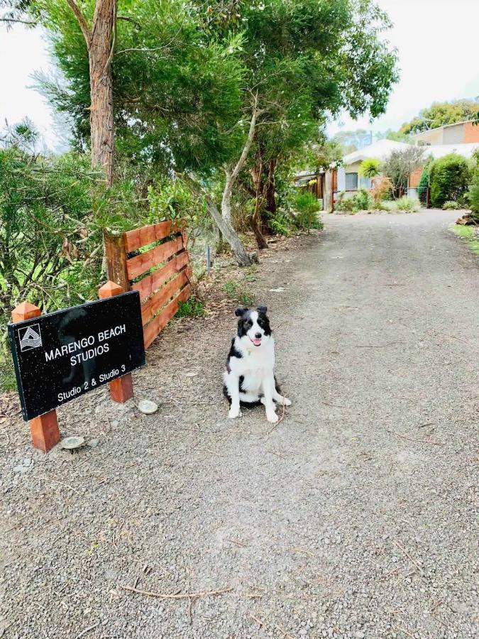 Marengo Beach Studios- Pet Friendly المظهر الخارجي الصورة